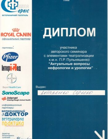 Диплом Коваленко С.О. грудень 2010