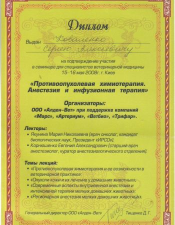 Диплом Коваленко С.О. травень 2008