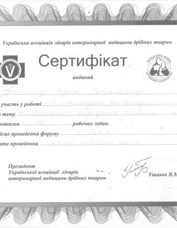 Сертифікат Коваленко 2