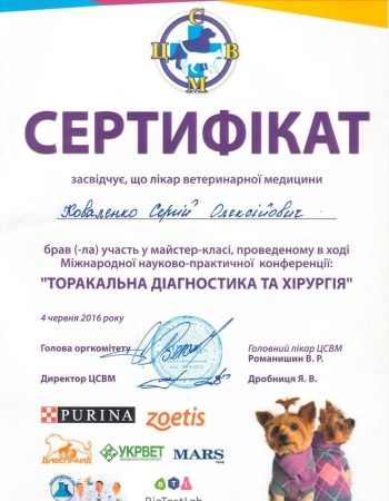 Сертифікат Коваленко С.О. 2016