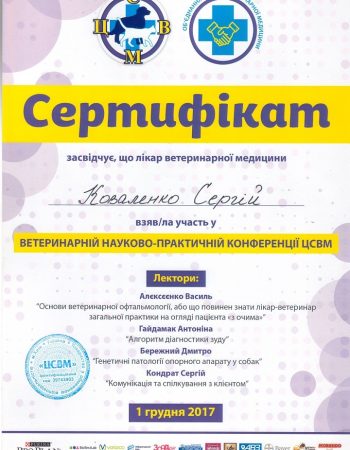 Сертифікат Коваленко С.О. 2017