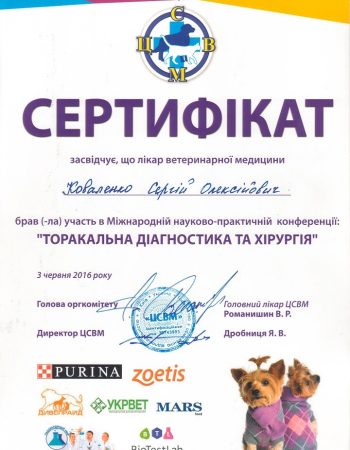 Сертифікат Коваленко С.О. 3 червня 2016